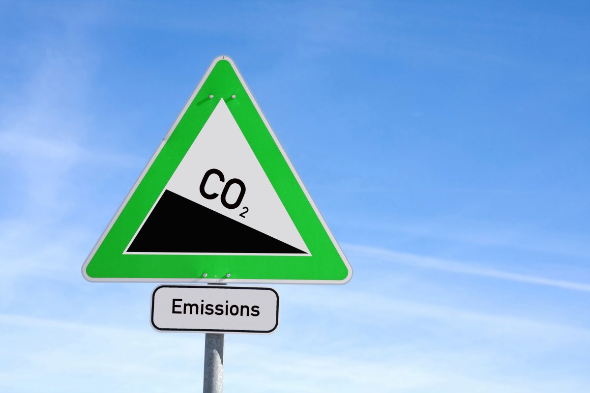 The decarbonisation policy report-card