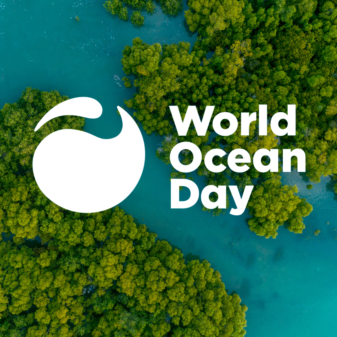 Reflections on World Ocean Day
